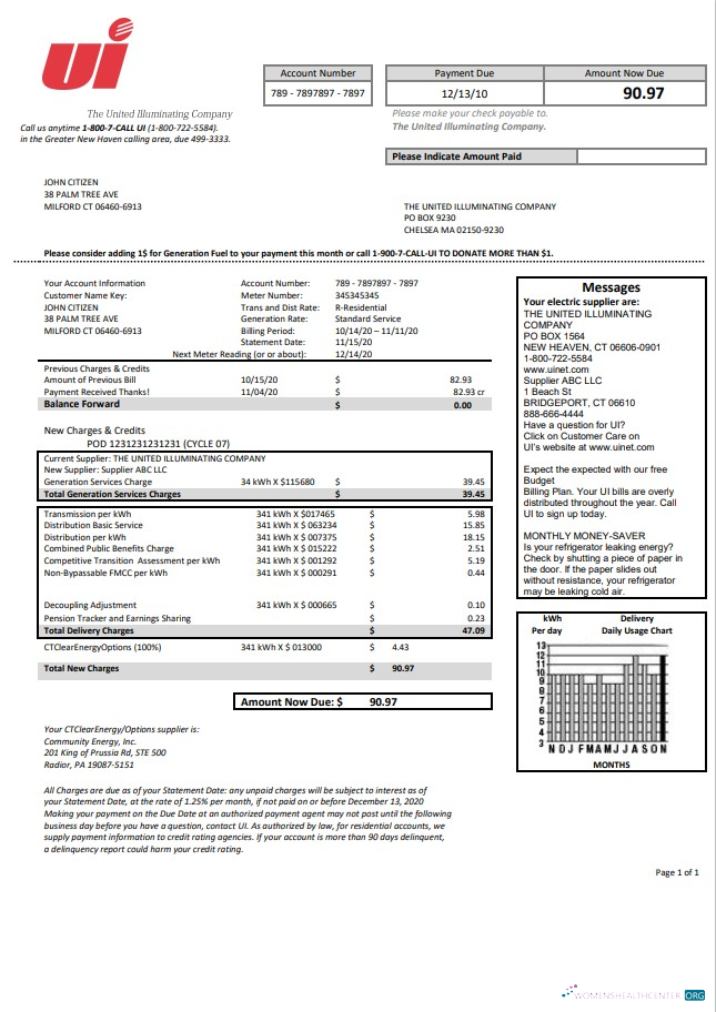 USA Connecticut The United Illuminating Company electricity utility bill template in Word and PDF format